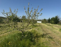 Vignette - Rurale - Terrain de loisirs de 2600m² à vendre à COLLIAS (30) - Environnement naturel privilégié