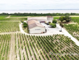Vignette - Viticole - Exclusivité À VENDRE Vignoble Cru Bourgeois Médoc Vue exceptionnelle
