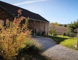 Vignette - Tourist - Charming Stone Property with Gîte and Outbuildings ? Between Lauzerte and Cahors