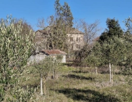 Vignette - Rurale - BATISSE EN PIERRE AU COEUR D'UN DOMAINE AGRICOLE - TRIANGLE D'OR DU TARN