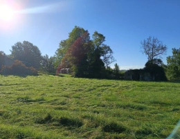 Vignette - Agricole - Terrain de 9582m²
