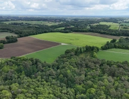 Vignette - Forestière - Massif forestier d’un seul tenant au cœur du Morbihan