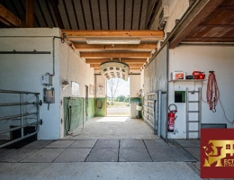 Vignette - Équestre - Domaine équestre + de 39 hectares