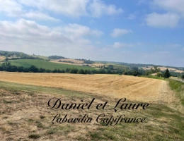Vignette - Agricole - Terrain à vendre de 166 764,00 m² à Saint Avit