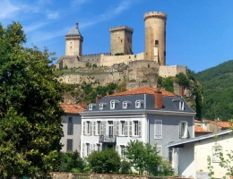 Vignette - Prestige - Maison de caractère restaurée avec jardin et garage