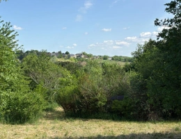 Vignette - Equestrian - An Inspiring Off-Grid Lifestyle Opportunity