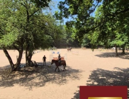Vignette - Equestrian - Ecurie trés bien placée 95
