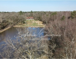 Vignette - Forest - 60-hectare hunting or leisure estate in Sologne