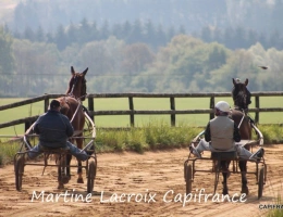 Vignette - Equestrian - Sarthe (72) department, for sale in La Ferté-Bernard - 5-room property of 100 m² - 10 hectares of la