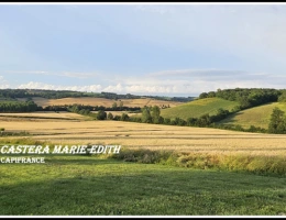 Vignette - Agricultural - Dpt Gers (32), à vendre proche AUCH - propriété agricole - 145 Hectares avec LAC et 860 M² de bâtiments