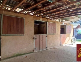 Vignette - Équestre - Propriété équestre 6,5 hectares attenants