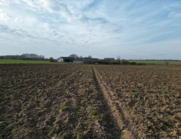 Vignette - Rural - Exploitation agricole de 149 ha dont 18 ha libres avec corps