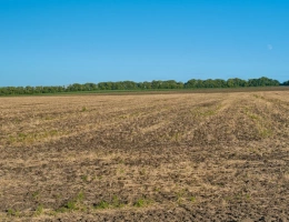 Vignette - Agricultural - 300 hectares de terres agricoles louées   Placement patrimon