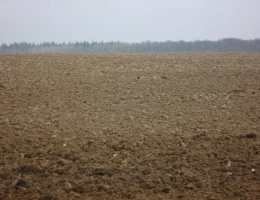 Vignette - Agricultural - 112 hectares de terres agricoles occupées   Placement patrim