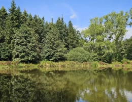 Vignette - Forest - Nantes : Un Domaine entre Eau, Forêt et Agriculture