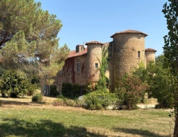 Vignette - Prestigious - MARCIAC (32): Former seigniory, beautiful 14th-century castle on +3hectares, hidden at the end of th