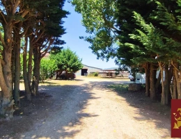 Vignette - Équestre - Propriété équestre 2,3 hectares