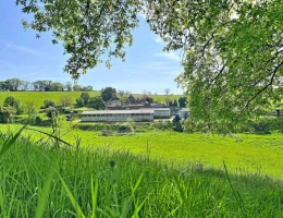 Vignette - Agricole - Bovine