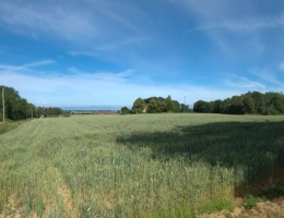 Vignette - Agricole - A vendre - Roybon (38940) – 3 parcelles de terrain agricole avec potentiel de loisirs et d'activités nature