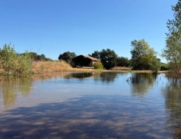 Vignette - Rurale - Terrain avec Mazet à vendre  LE POUGET (34), GIGNAC
