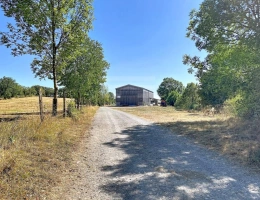 Vignette - Agricole - Ovins / Caprins