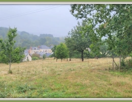 Vignette - Agricole - Dpt Sarthe (72), à vendre SAINT GERMAIN D'ARCE terrain agricole 5630 m2