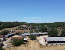 Vignette - Agricole - Ovins / Caprins