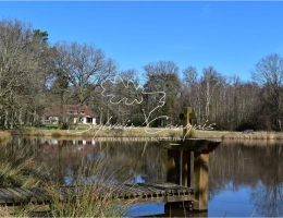 Vignette - Forestière - Propriété de Chasse ou d'Agrément de 60 hectares en Sologne