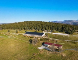 Vignette - Équestre - Propriété équestre sur 16 ha en montagne ardéchoise ?