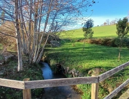 Vignette - Tourist - Investment et Lifestyle: Charming 17th Century Estate in Guiche