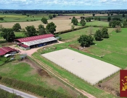 Vignette - Equestrian - Structure équestre 28 hectares + fermages possibles