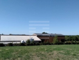 Vignette - Agricole - Ovins / Caprins