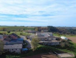 Vignette - Agricole - Ovins / Caprins