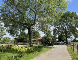Vignette - Equestrian - Large, fully renovated family home, 2 hectares, equestrian area and building plot