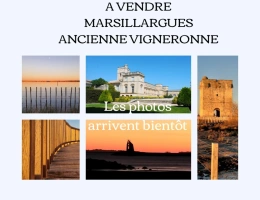 Vignette - Prestige - ANCIENNE PROPRIÉTÉ VIGNERONNE AU CŒUR DE MARSILLARGUES AVEC FORT POTENTIEL
