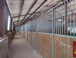 Vignette - Equestrian - Propriété équestre 2,3 hectares