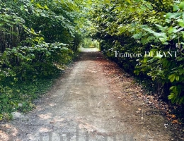 Vignette - Rurale - Terrain à vendre de 4 900,00 m² proche de REIMS (51)