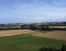 Vignette - Agricole - Terrain agricole