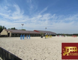 Vignette - Equestrian - Ecurie  Lille