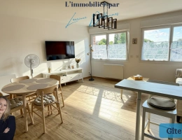 Vignette - Touristique - Propriété complète : Une maison de 160m2 + 3 gîtes meublés (possibilité 4) + Hangar + Terrain à Nivelle (59)
