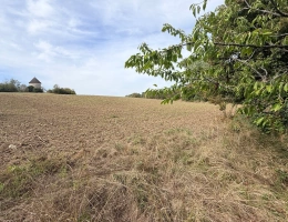 Vignette - Agricultural - Terrain agricole   (47)