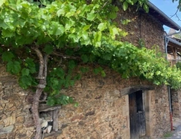 Vignette - Rurale - OPPORTUNITE: Grange à transformer  en partie rénovée à La Vinzelle (12)