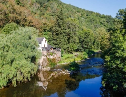 Vignette - Rurale - Ancien moulin au bord du Viaur -Vue magnifique sur l'eau - 185 m² habitables