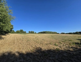 Vignette - Agricole - Ensemble foncier de 5 ha 78 a 43 ca   Cernoy-en-Berry
