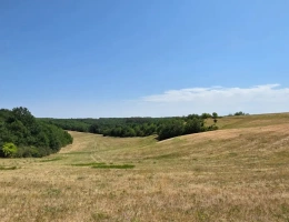 Vignette - Forest - Propriété clôture de 116 ha avec habitation et dépendances