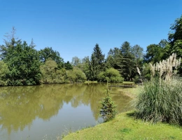 Vignette - Rural - Recreation ground with pond
