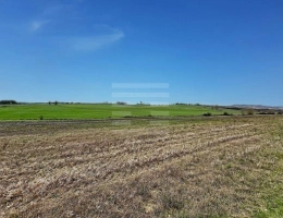 Vignette - Agricultural - Agricultural land