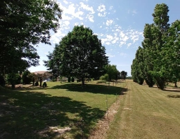 Vignette - Rurale - Ancienne propriété agricole avec dépendances au calme