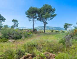 Vignette - Agricole - Terrain Agricole à vendre (83) - Vue panoramique - Accès facile - Alimentée par le canal de Provence