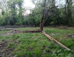 Vignette - Rurale - TERRAIN DE LOISIR DE 6 835 M2 À ARS-SUR-MOSELLE